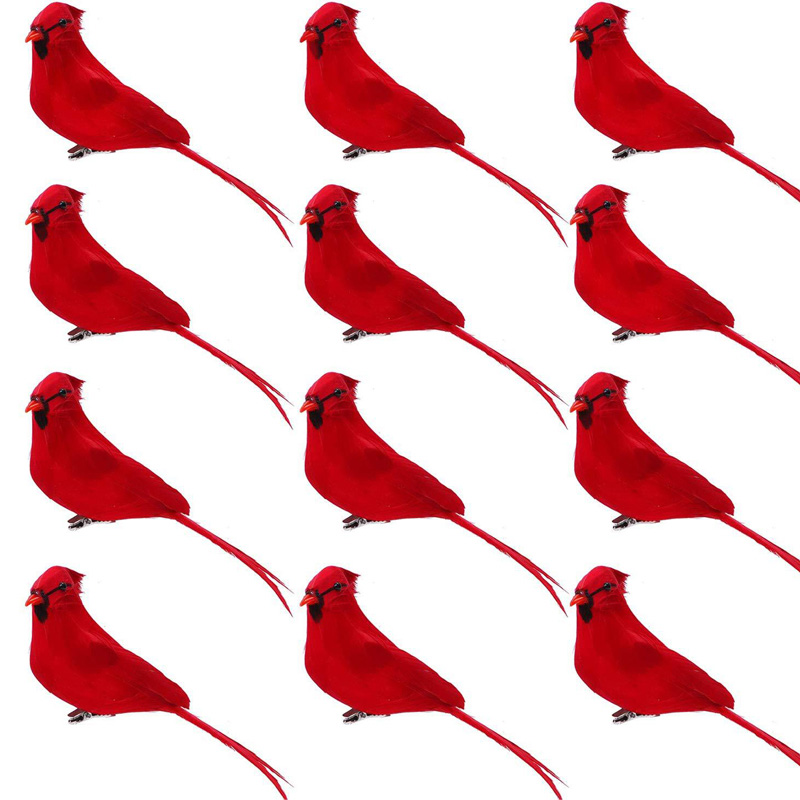 Uccelli del festival